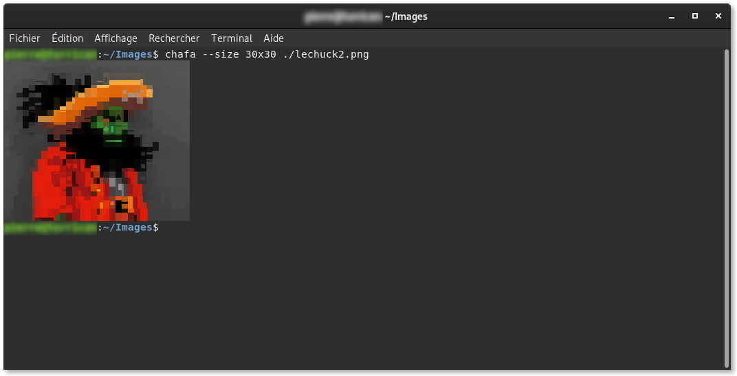 Sortie générée par chafa
